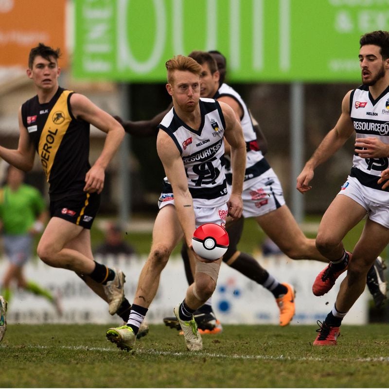 Pokemon Invasion in Pantherland! Pokemon Invasion in Pantherland!